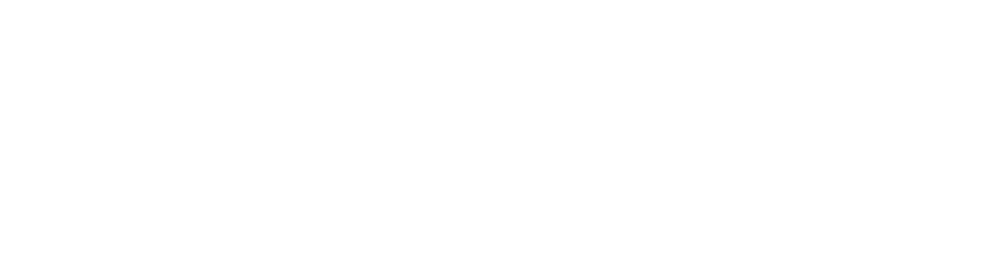 Plus Mayorista